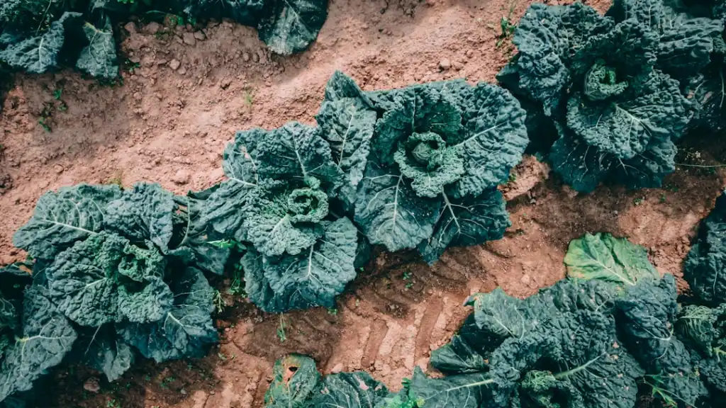 昆明弱电施工方案解析:桥架安装与综合布线技术要点